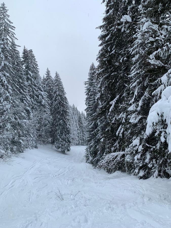 La Jolie Bergere Chalet Morzine