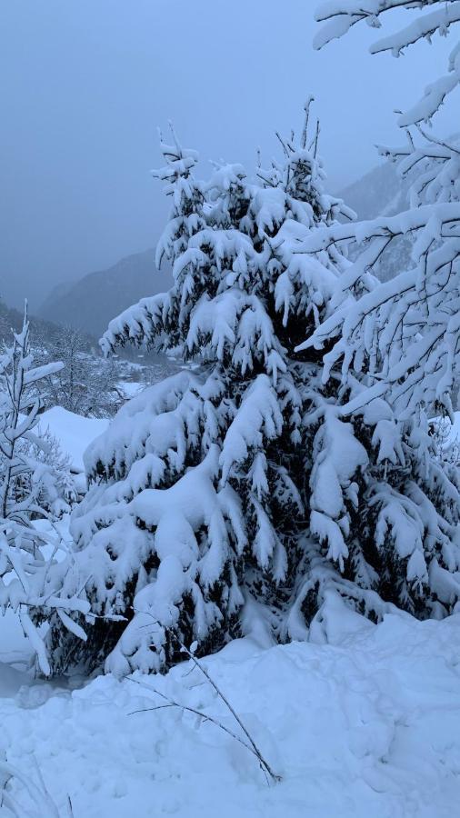 Chalet La Jolie Bergere